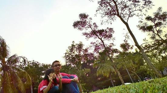 Taman Tabebuia